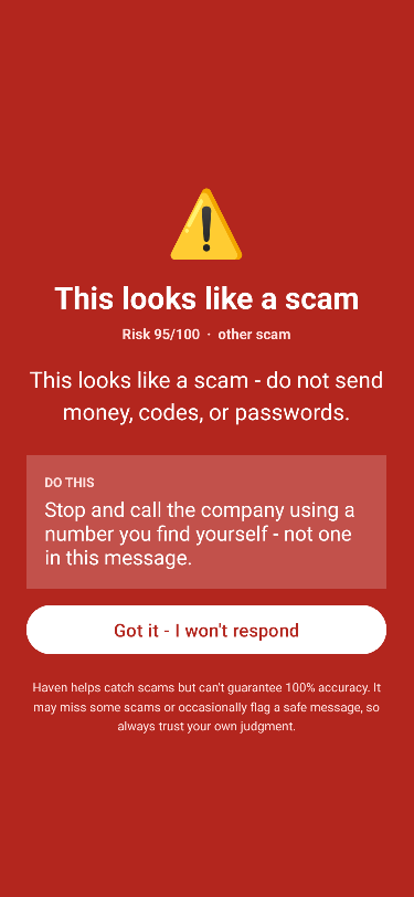 Haven full-screen scam warning on the phone